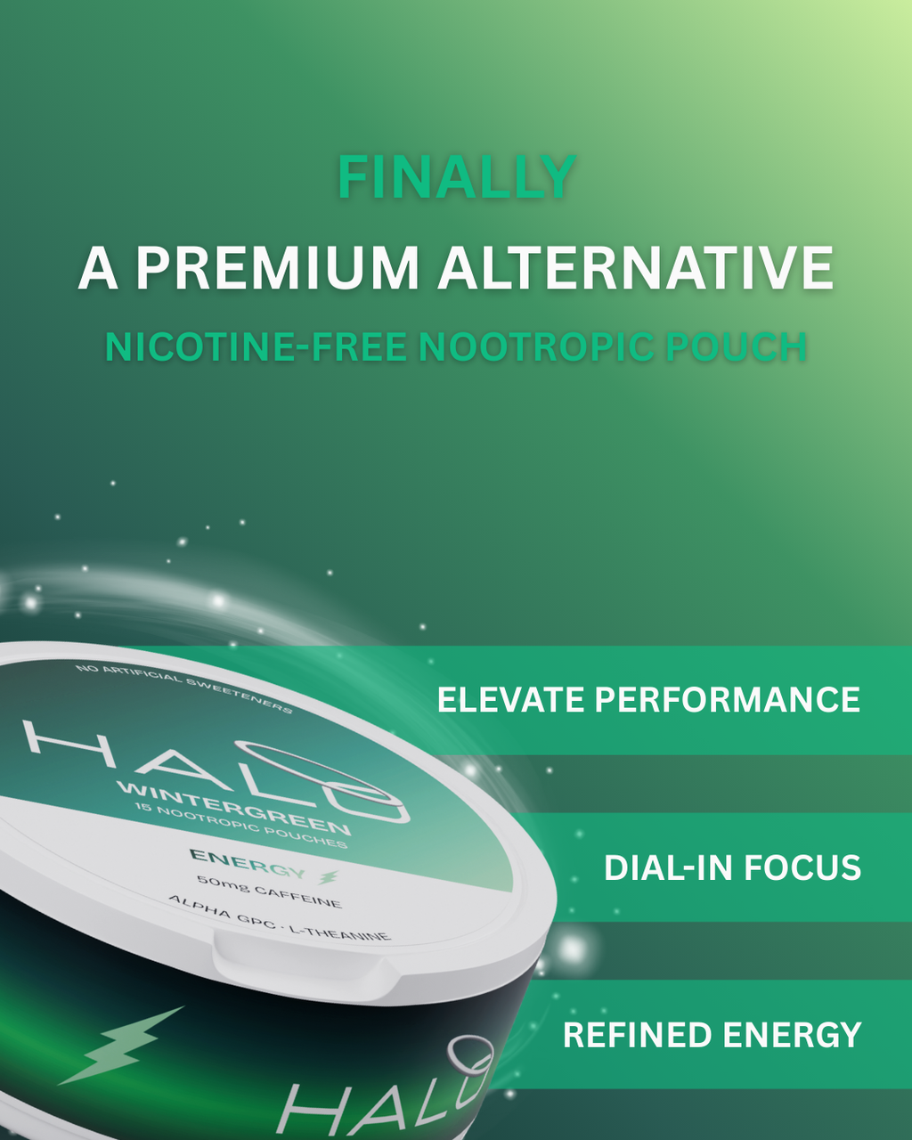 Halo Wintergreen 50mg Caffeine Pouches - 5 pack