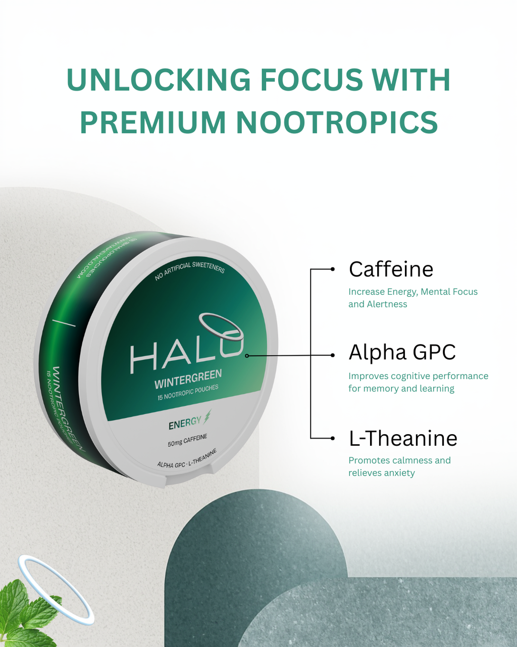 Halo Wintergreen 50mg Caffeine Pouches - 5 pack